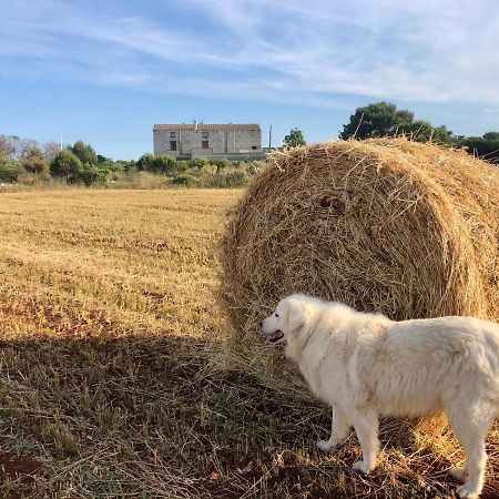 Agriturismo La Palascia Masseria Agreste Otranto Exteriör bild