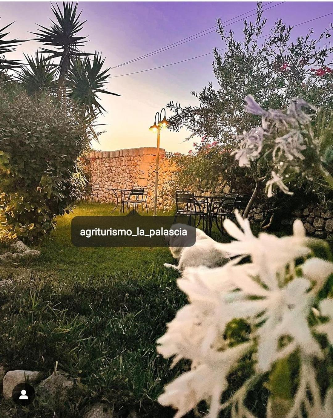 Agriturismo La Palascia Masseria Agreste Otranto Exteriör bild