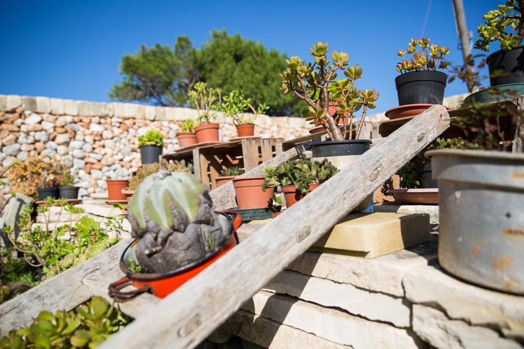 Agriturismo La Palascia Masseria Agreste Otranto Rum bild