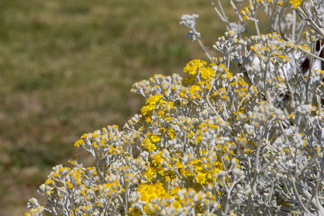 Agriturismo La Palascia Masseria Agreste Otranto Exteriör bild