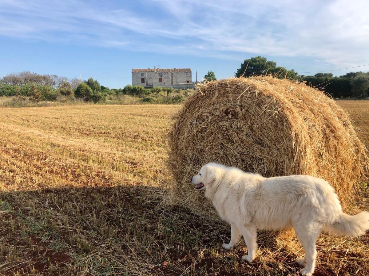 Agriturismo La Palascia Masseria Agreste Otranto Exteriör bild